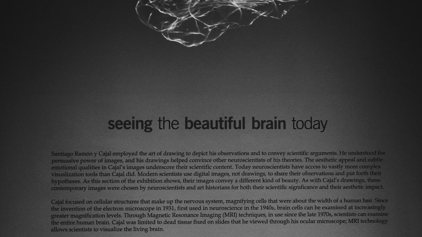 Captions For Neurodiversity