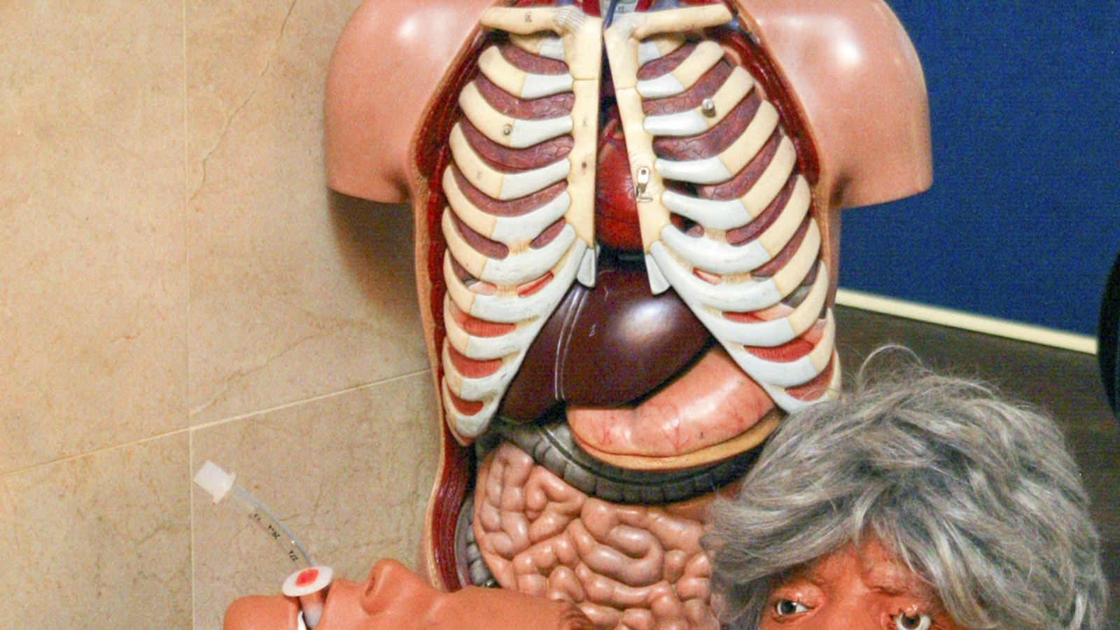 Medical Interpretation Accuracy